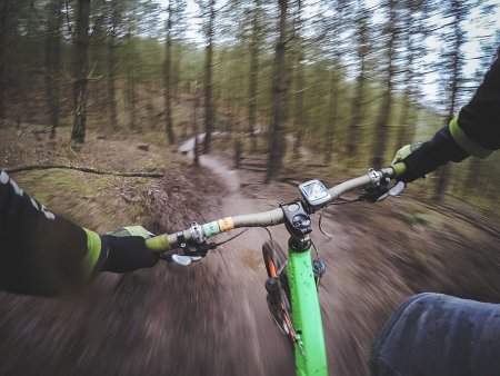 jazda rowerem po lesie