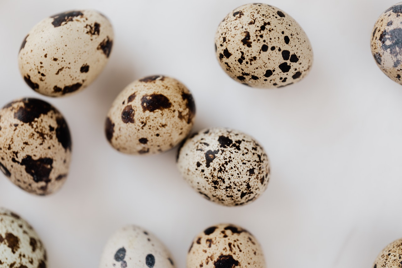 Jajka przepiórcze i ich właściwości odżywcze