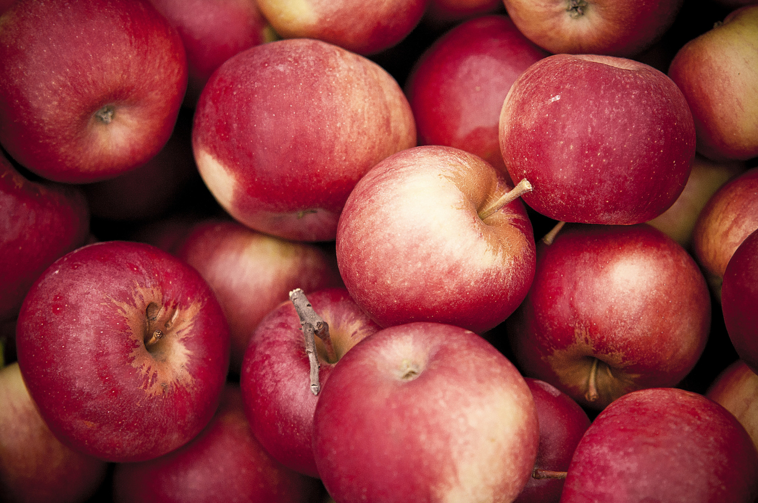 Warości odzywcze i właściwości jabłek