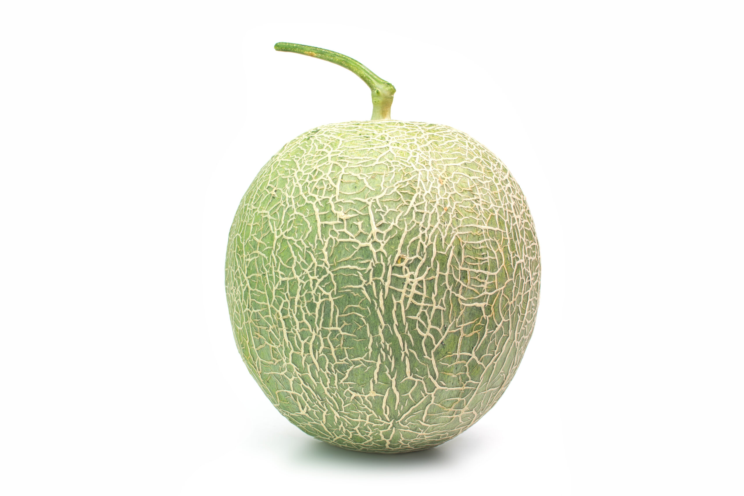 Melon na białym tle