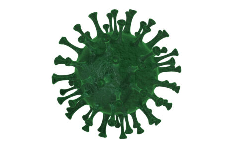 Na tym obrazku widzimy zieloną bakterię covid-19 na białym tle. Bakteria wygląda jak kula z kolcami, co dobrze odzwierciedla charakterystyczny wygląd tego wirusa. Pozycja bakterii na białym tle podkreśla jej izolację i separację od innych obiektów, co może symbolizować potrzebę zachowania dystansu społecznego w celu zapobiegania rozprzestrzenianiu się wirusa. Obrazek ten ma na celu przypomnienie o pandemii i potrzebie przestrzegania zasad higieny oraz ochrony przed covid-19.