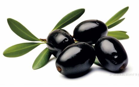Na obrazku widoczne są czarne oliwki z zielonymi liśćmi, ułożone na czystym białym tle. Kontrast między oliwkami a tłem podkreśla ich intensywny kolor i naturalny wygląd. Ta kompozycja pięknie przedstawia czarne oliwki, prezentując ich apetyczny wygląd i świeżość, a także zachęca do cieszenia się ich wyjątkowym smakiem i korzyściami zdrowotnymi