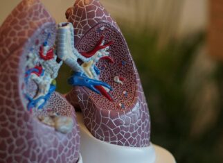 Zrozumienie Chorób Płuc